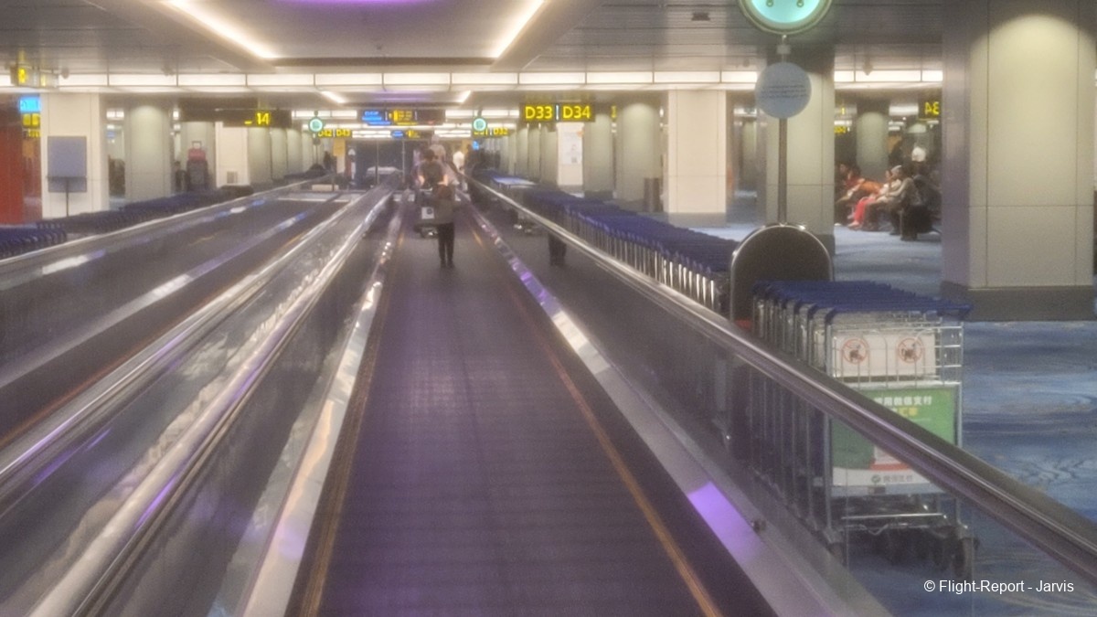 photo 20260219_194631