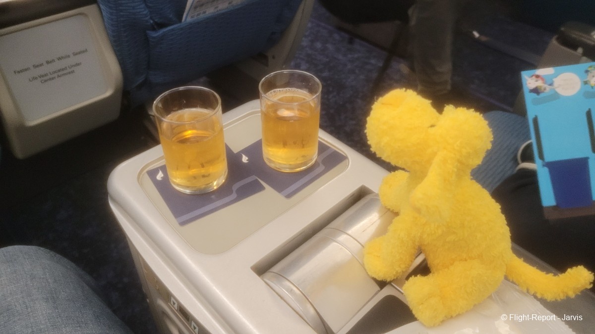 photo 20260219_201954