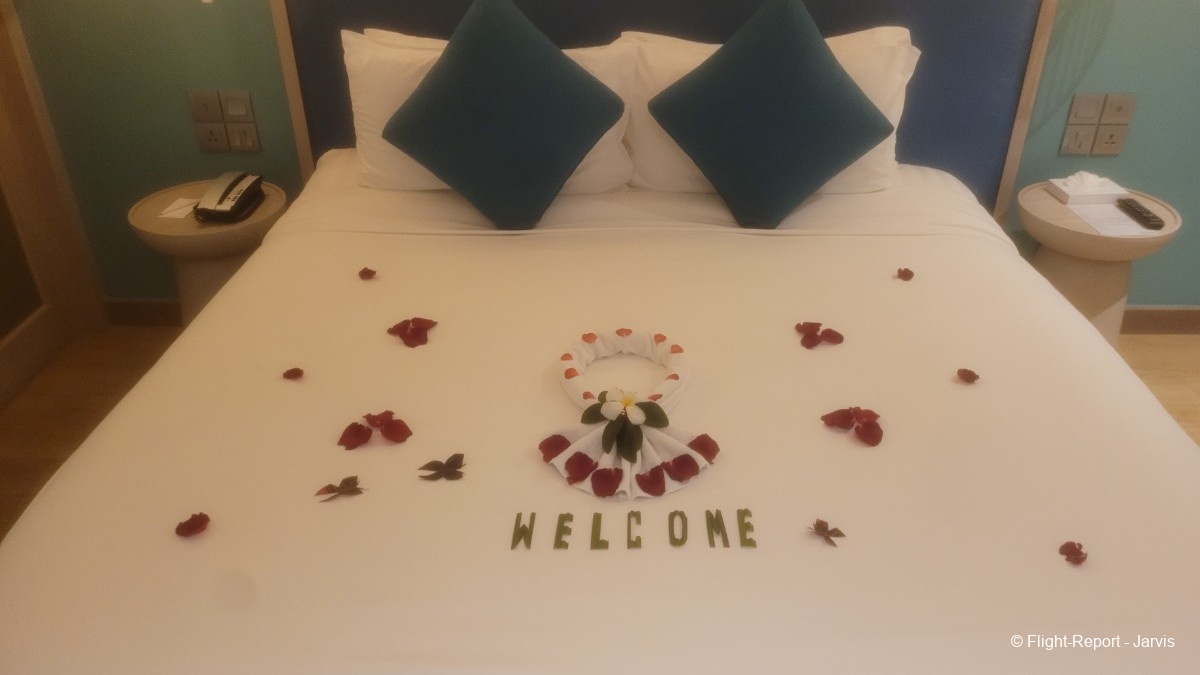 photo 20260219_222322