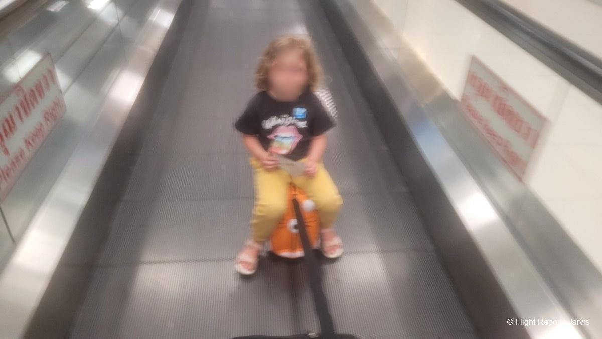 photo 20260227_105334-13426