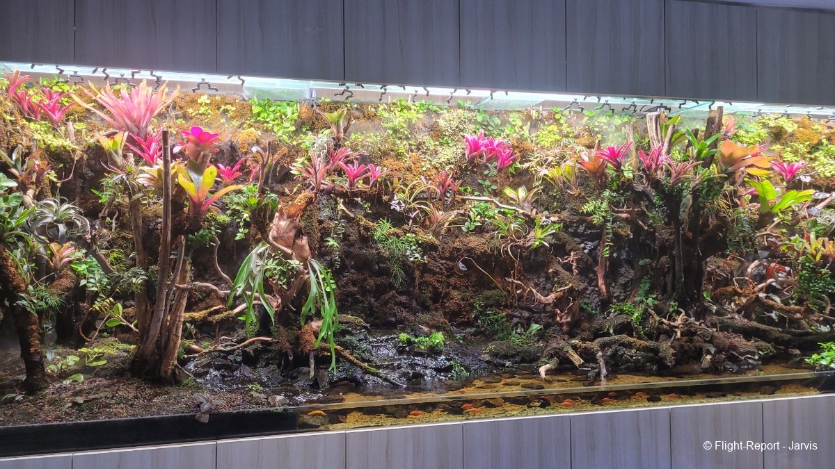 photo 20251105_203016