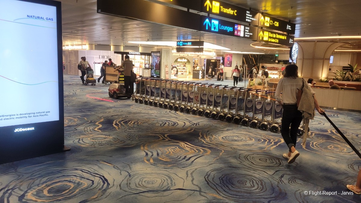 photo 20251105_203100