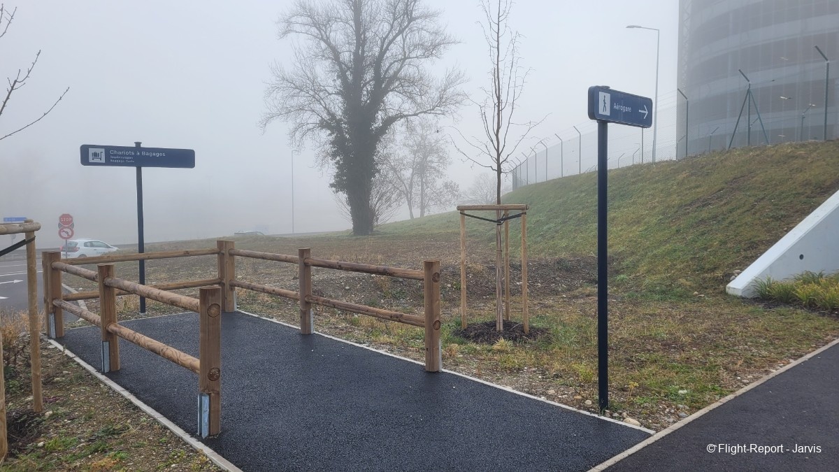 photo 20260208_095134