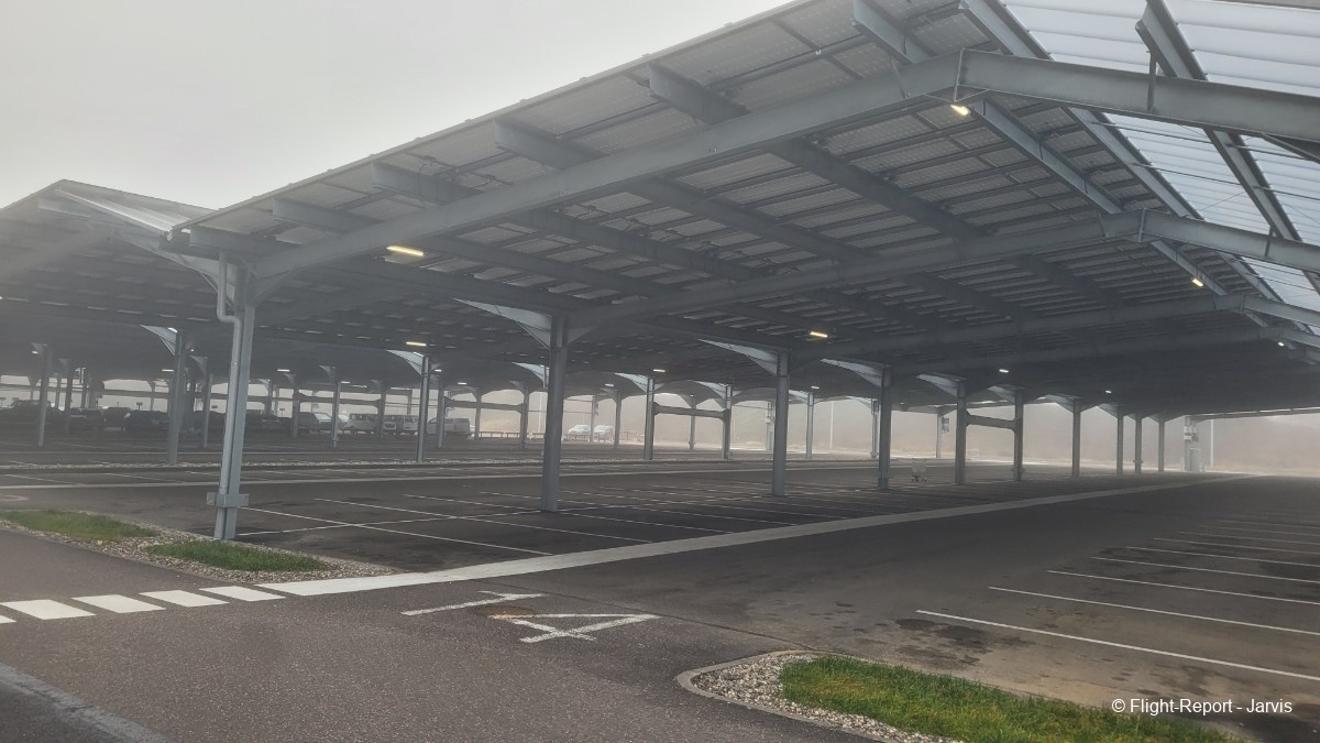 photo 20260208_095216