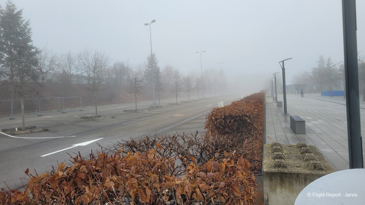 photo 20260208_095920