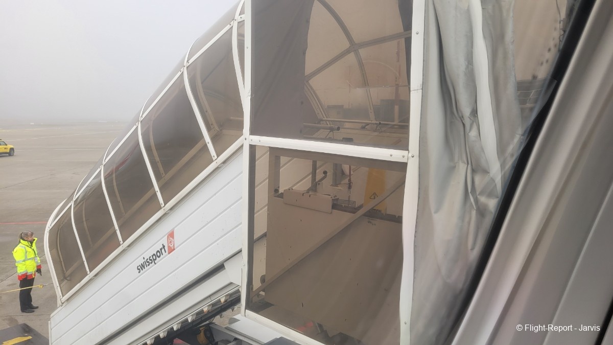 photo 20260208_105544