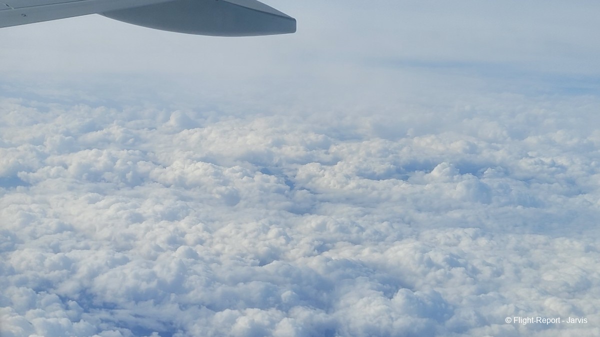 photo 20260209_130300