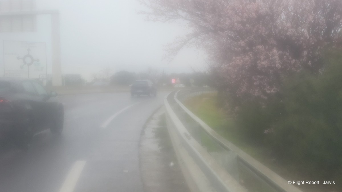 photo 20260210_130636