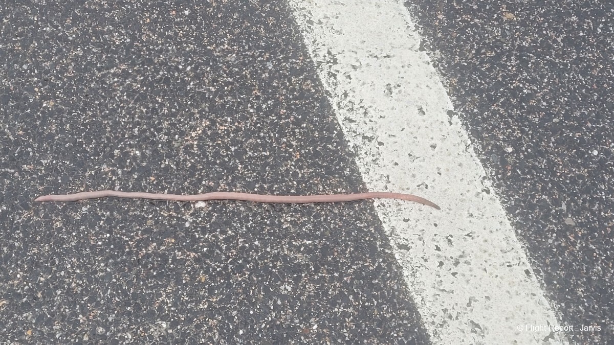 photo 20260210_132254