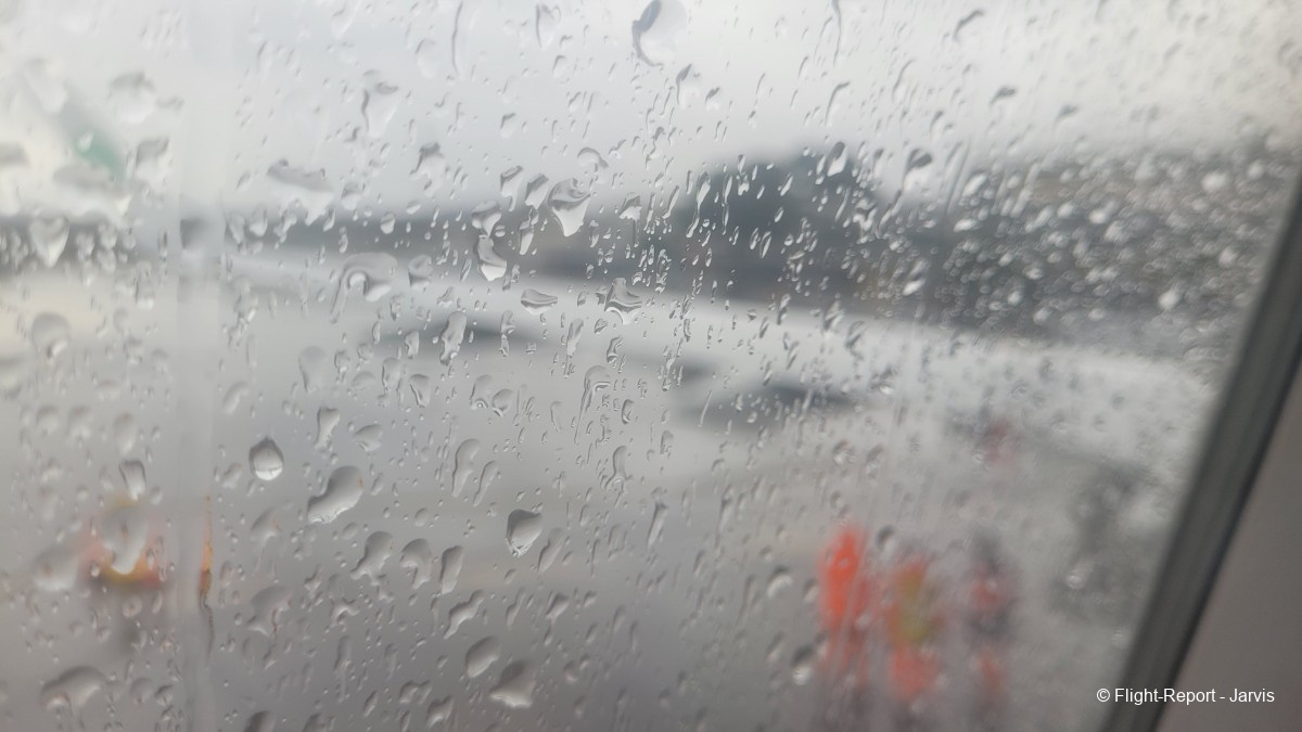 photo 20260210_141318