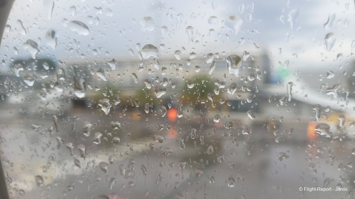 photo 20260210_144336