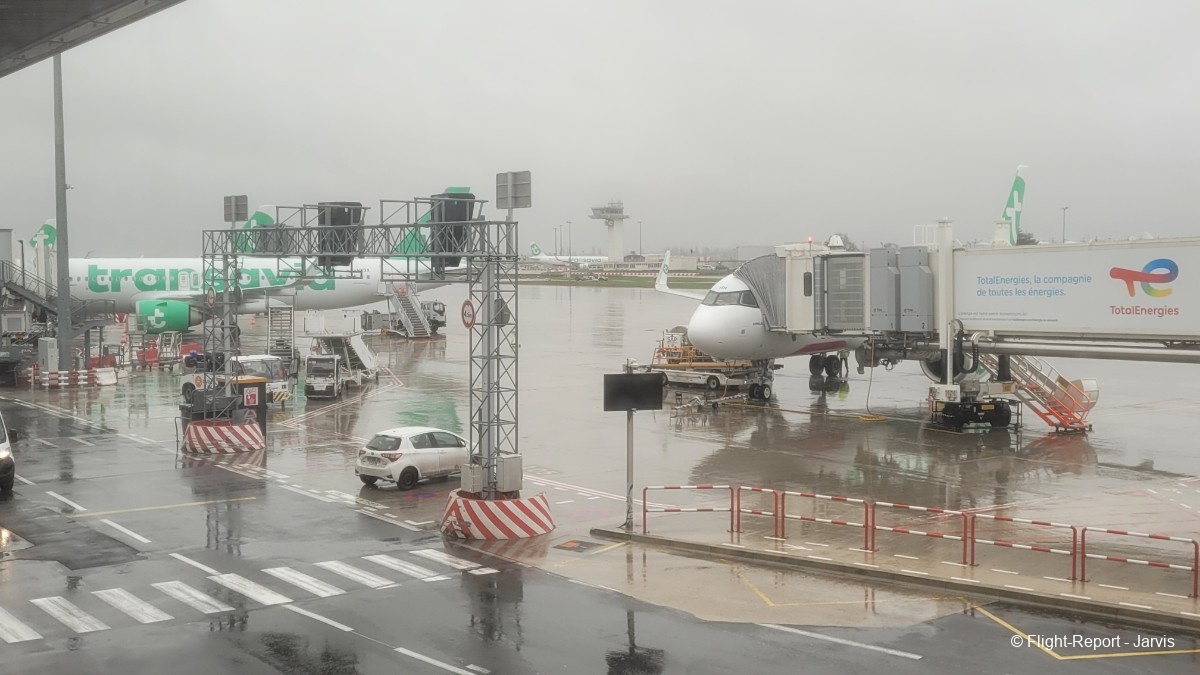 photo 20260210_161821