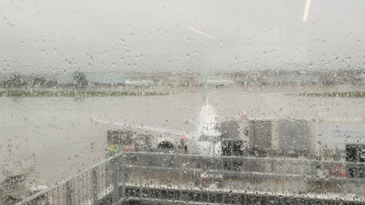 photo 20260210_161915