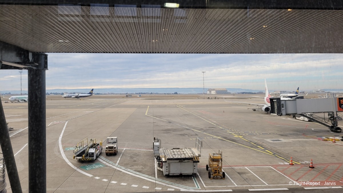 photo 20250118_120153