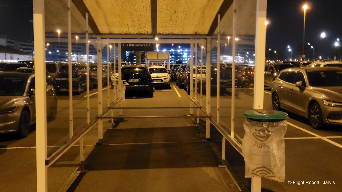 photo 20250408_051802