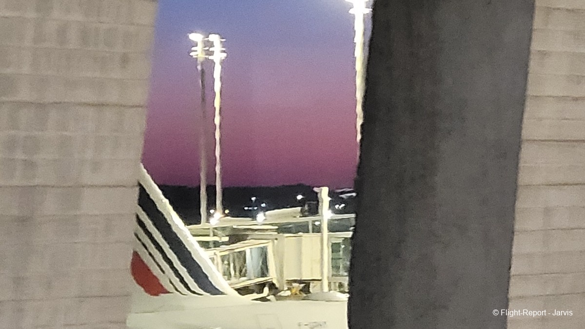 photo 20250408_063314