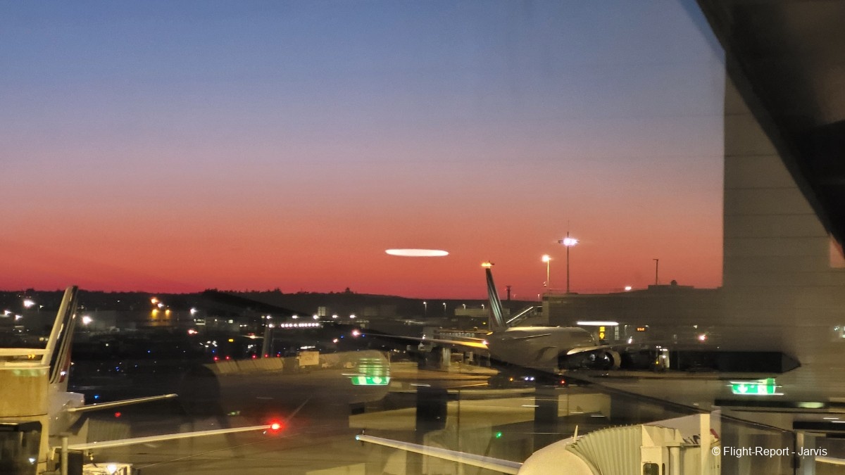 photo 20250408_063718