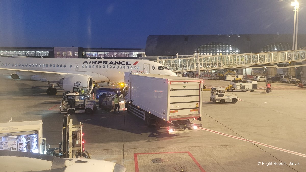 photo 20250408_064133