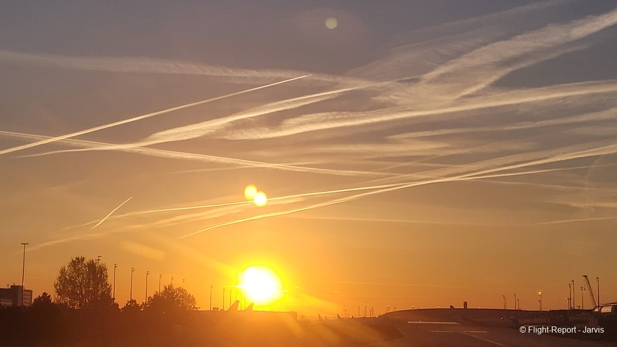 photo 20250408_072453