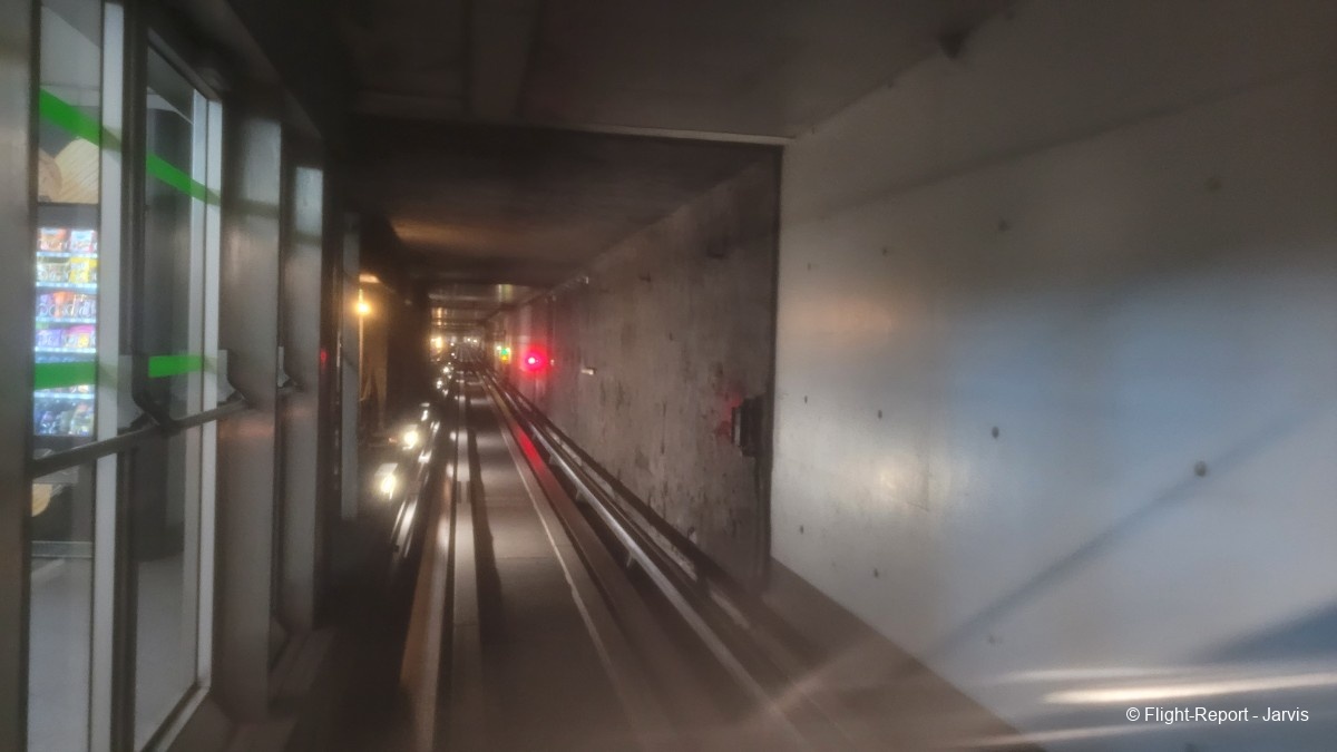 photo 20260326_070440