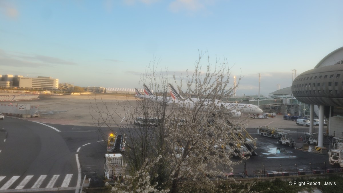 photo 20260326_071126