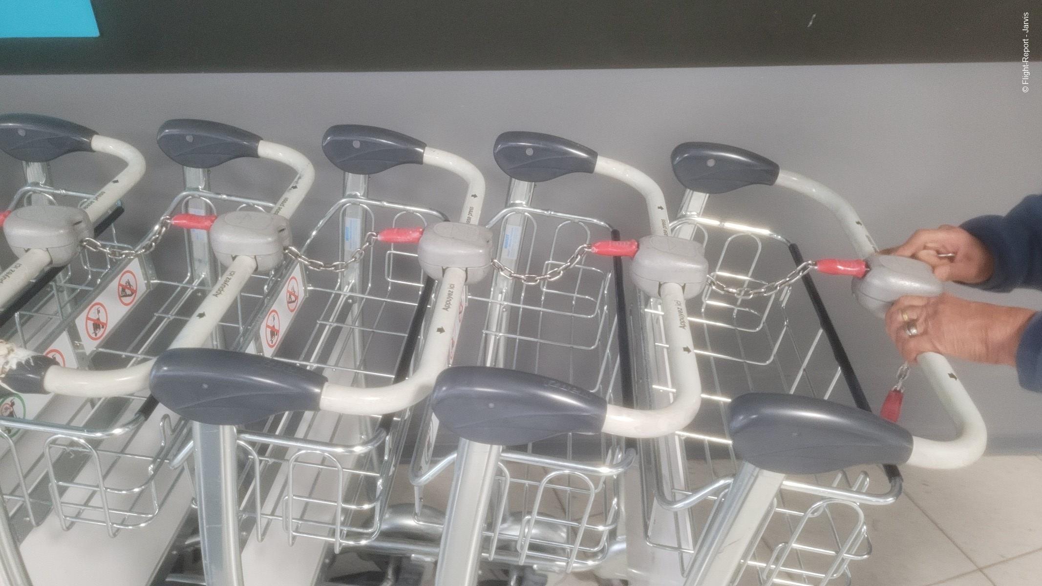 photo 20260326_101825-91081