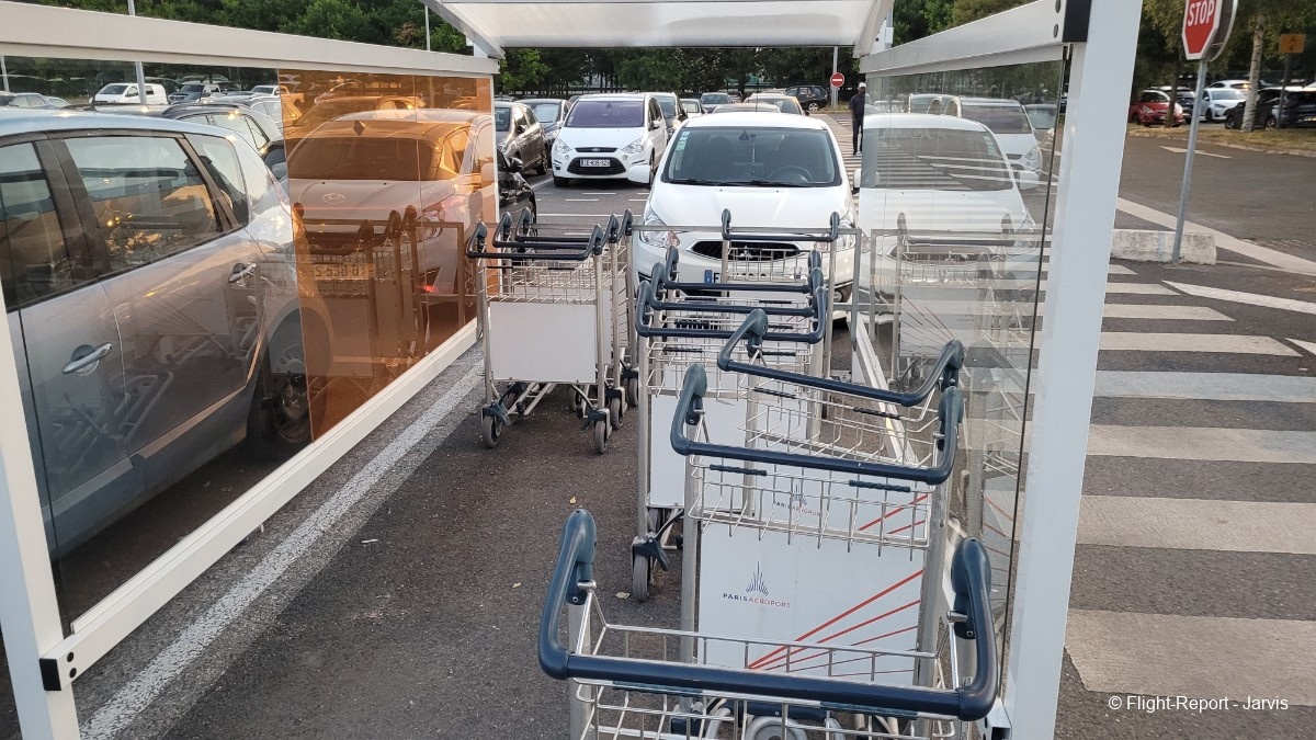 photo 20250620_053123