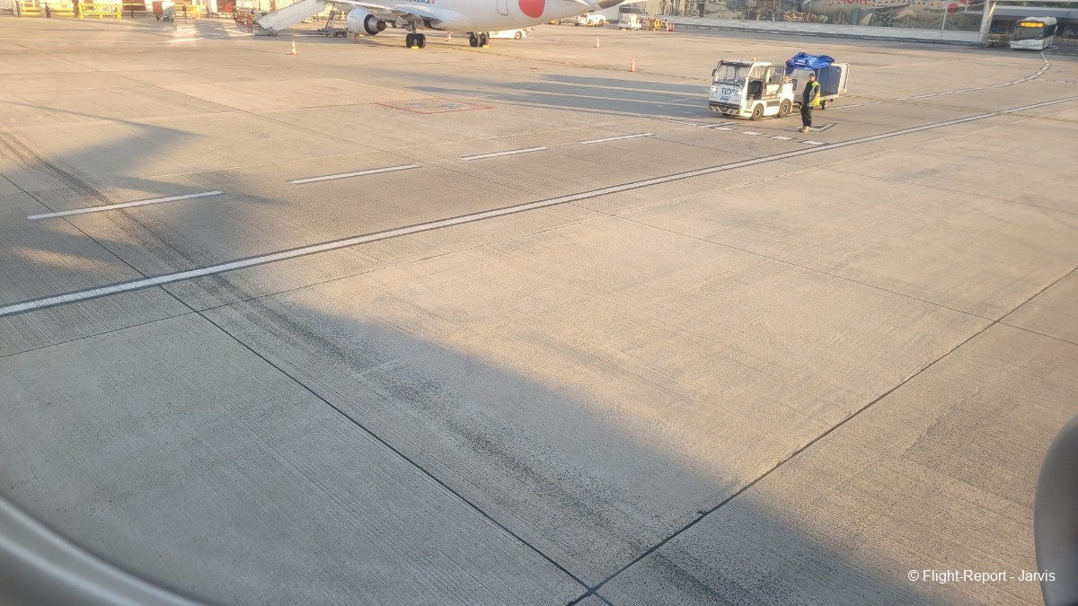 photo 20250620_065219