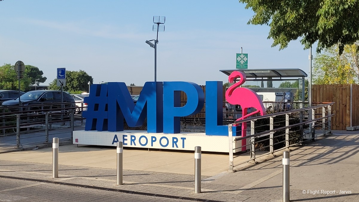 photo 20250620_082346