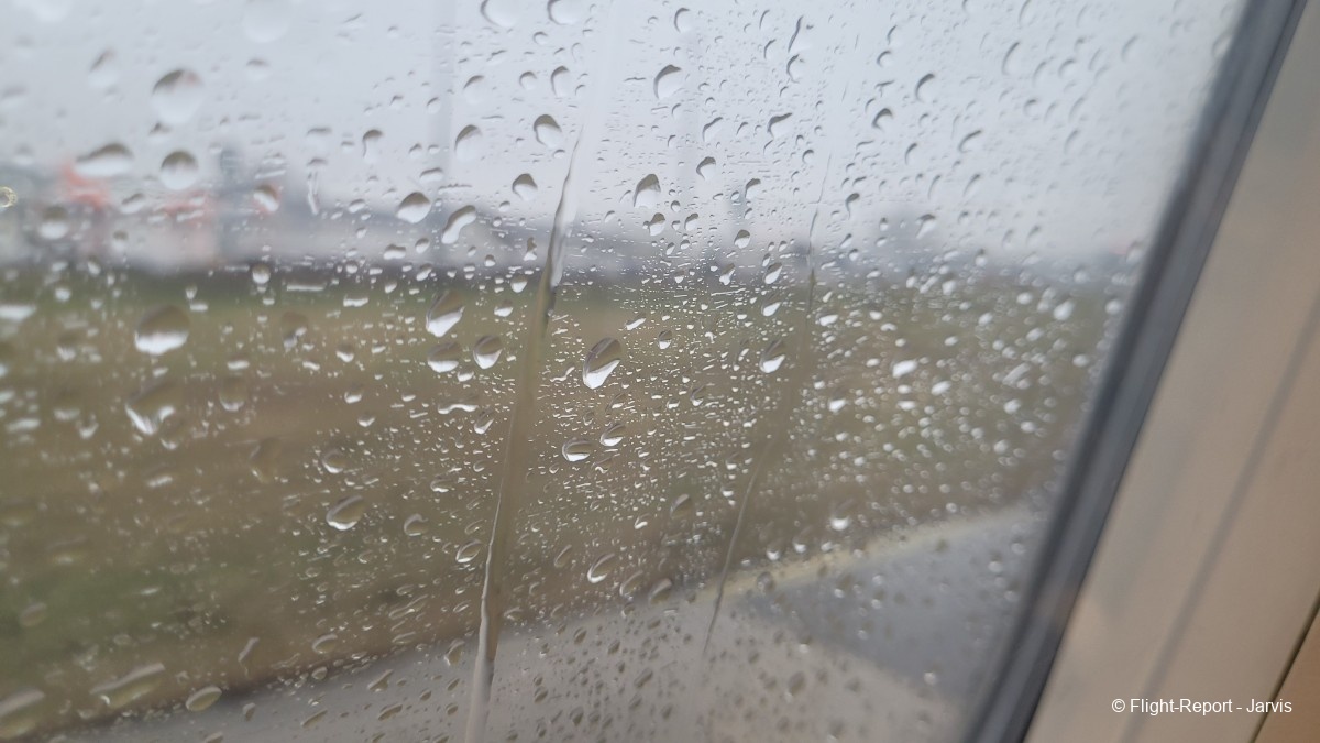 photo 20260203_094413