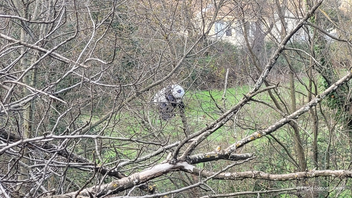 photo 20260114_141502