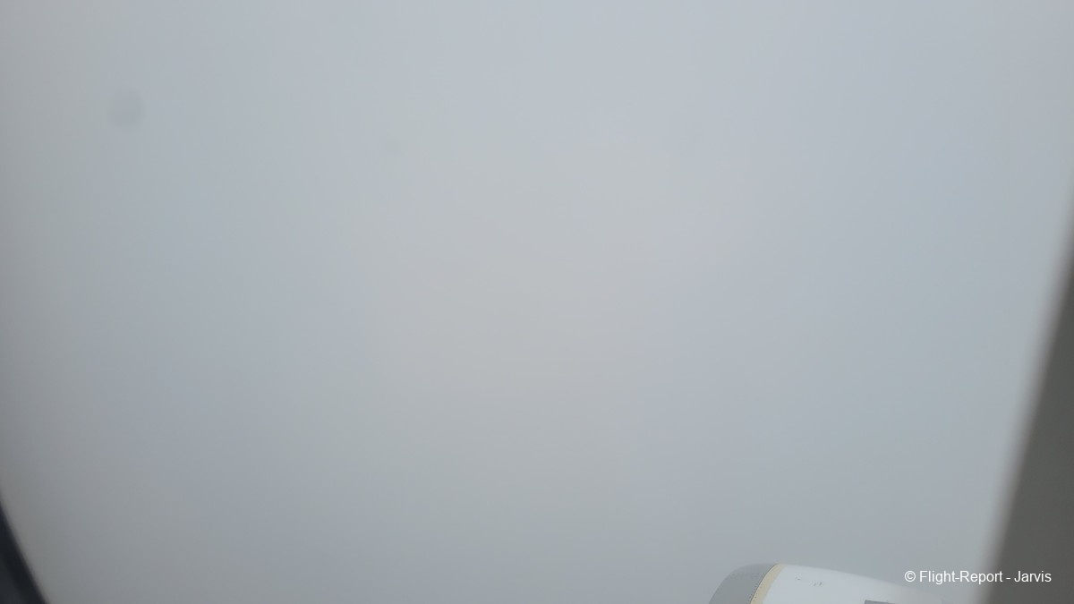 photo 20251204_085631