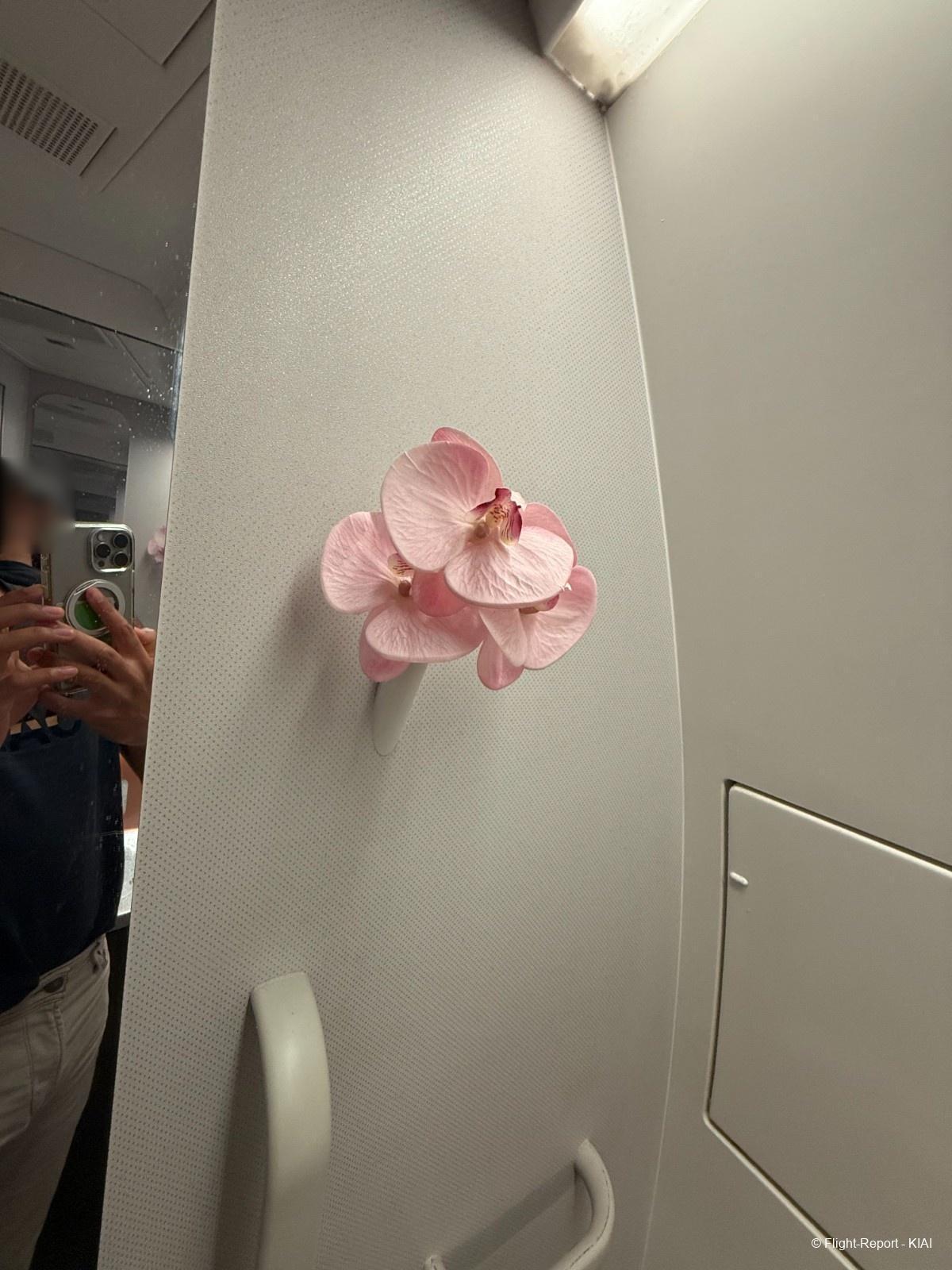 photo img_2211-27700