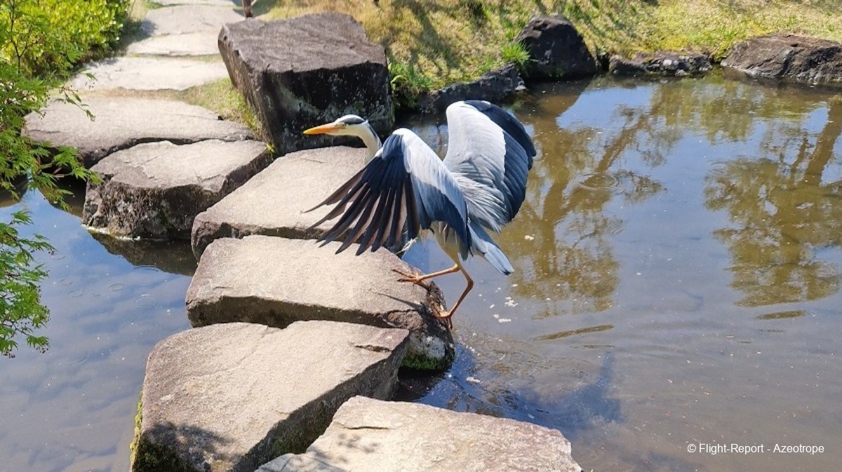 photo 20240414_132930