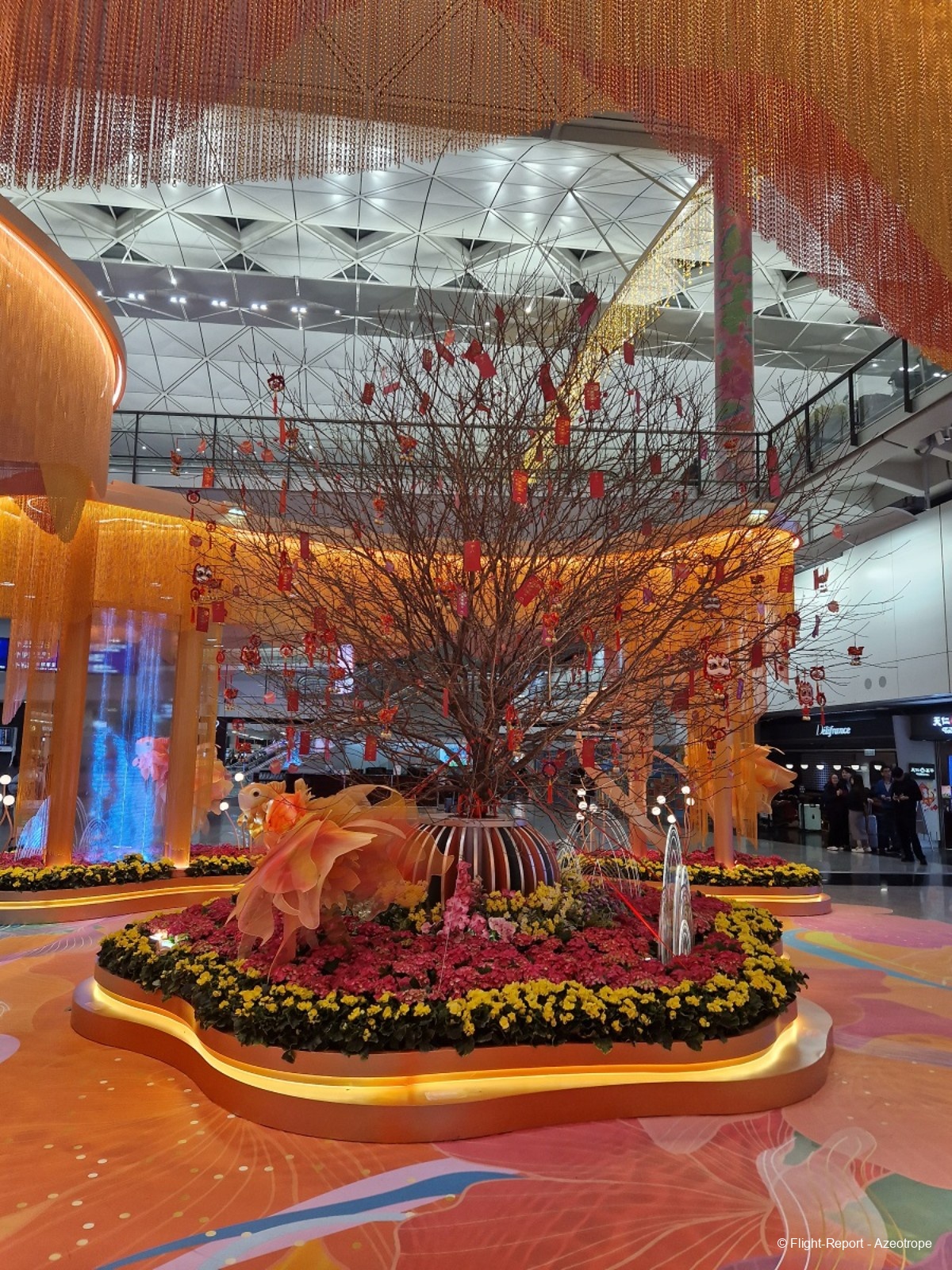 photo 20250116_185434