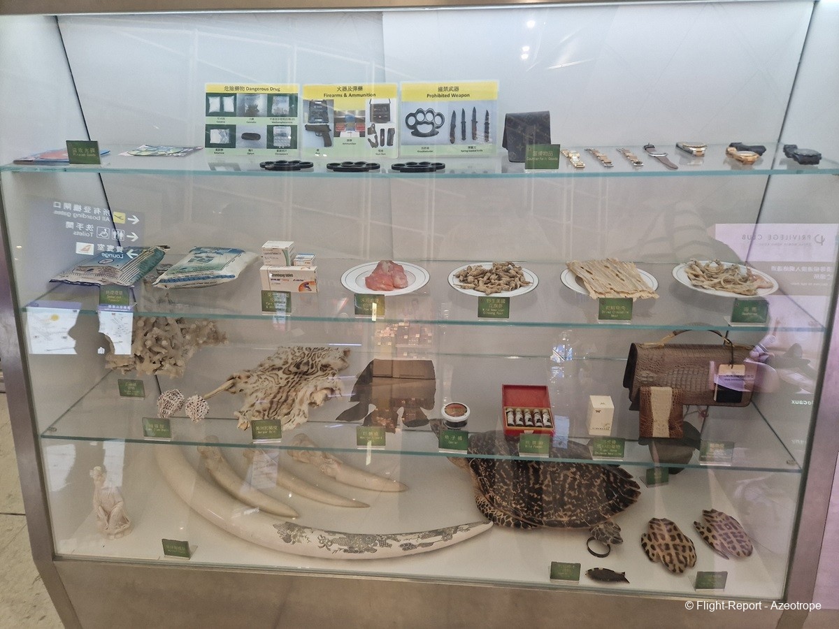 photo 20250118_192740