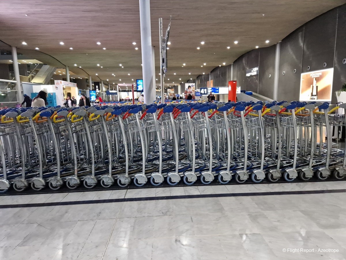 photo 20250119_131551