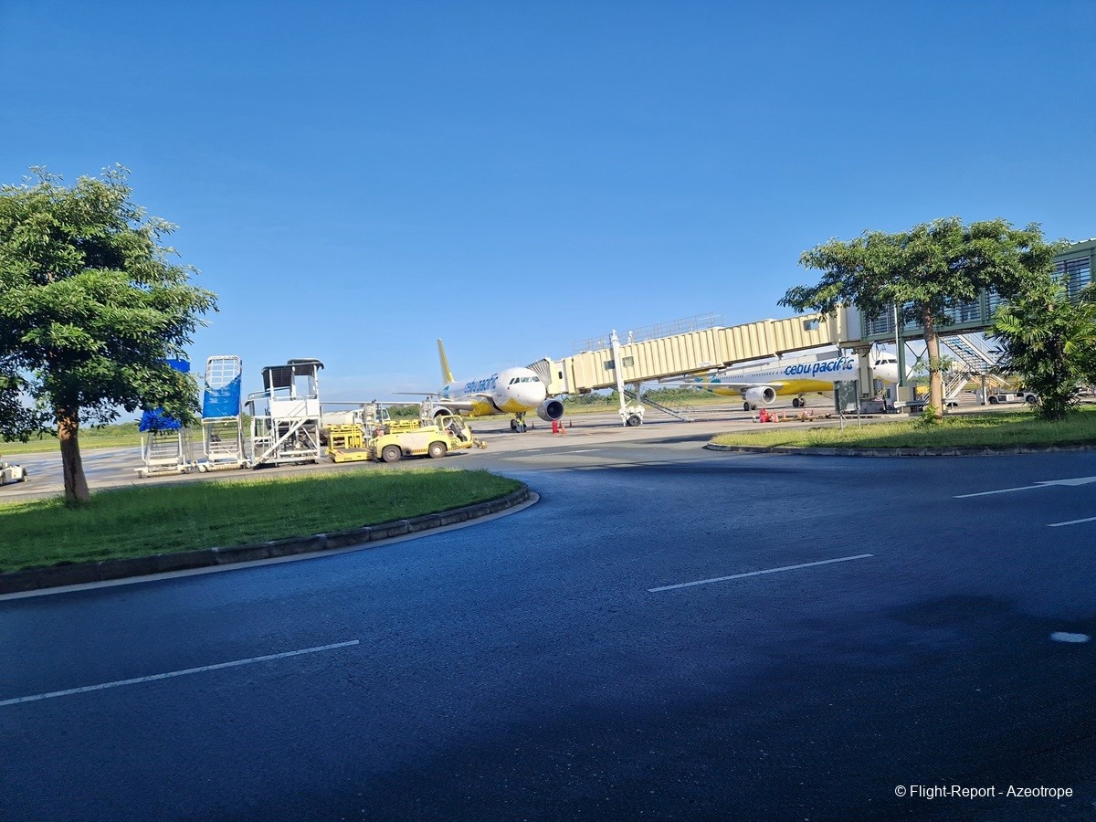 photo 20250116_081044