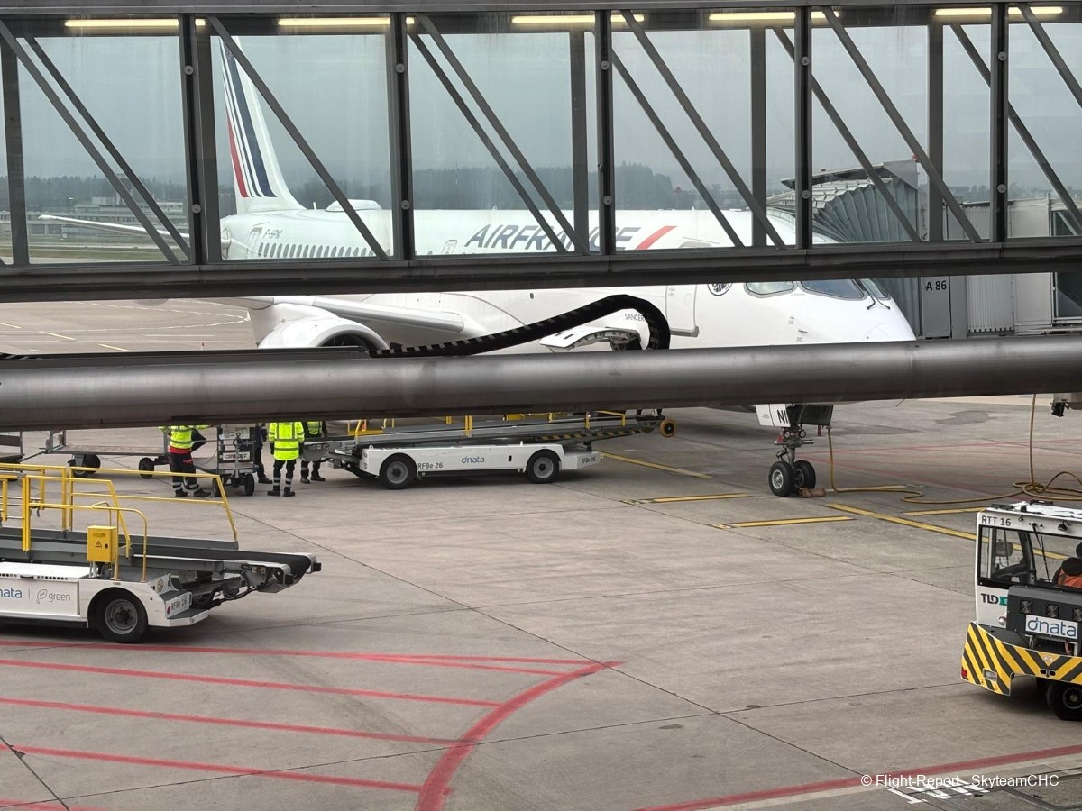 photo whatsapp-image-2025-12-14-at-093953-12