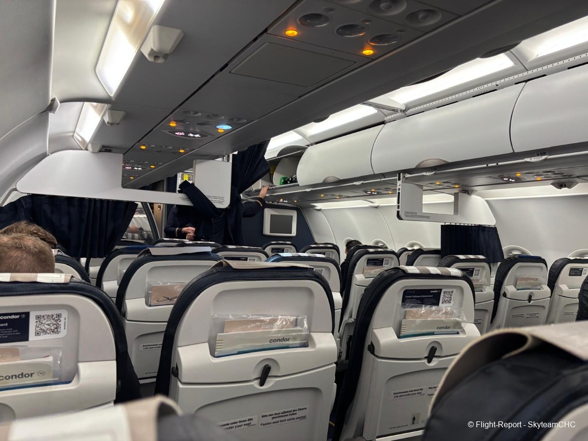 photo whatsapp-image-2026-02-11-at-204401-13