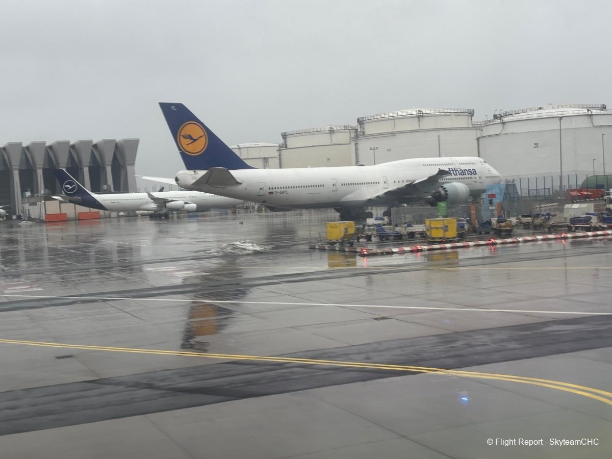 photo whatsapp-image-2026-02-11-at-204802-3