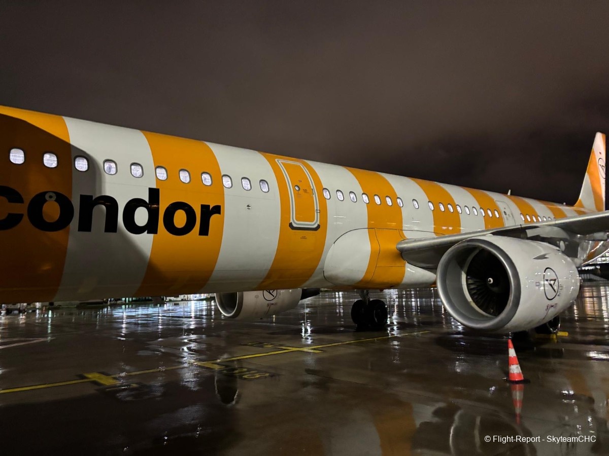 photo whatsapp-image-2026-02-11-at-205717