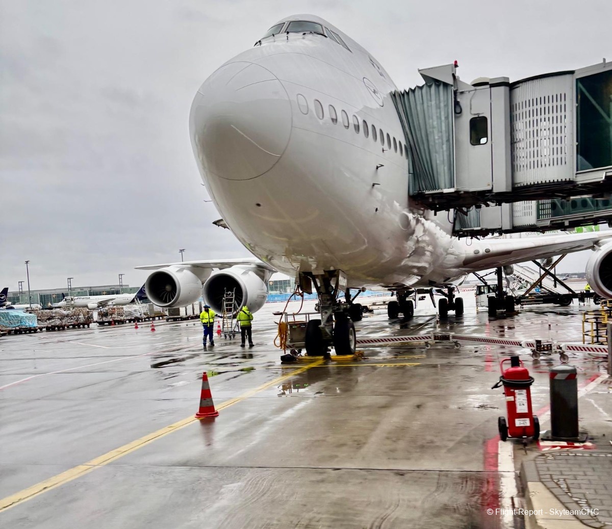 photo whatsapp-image-2026-02-11-at-221055-4