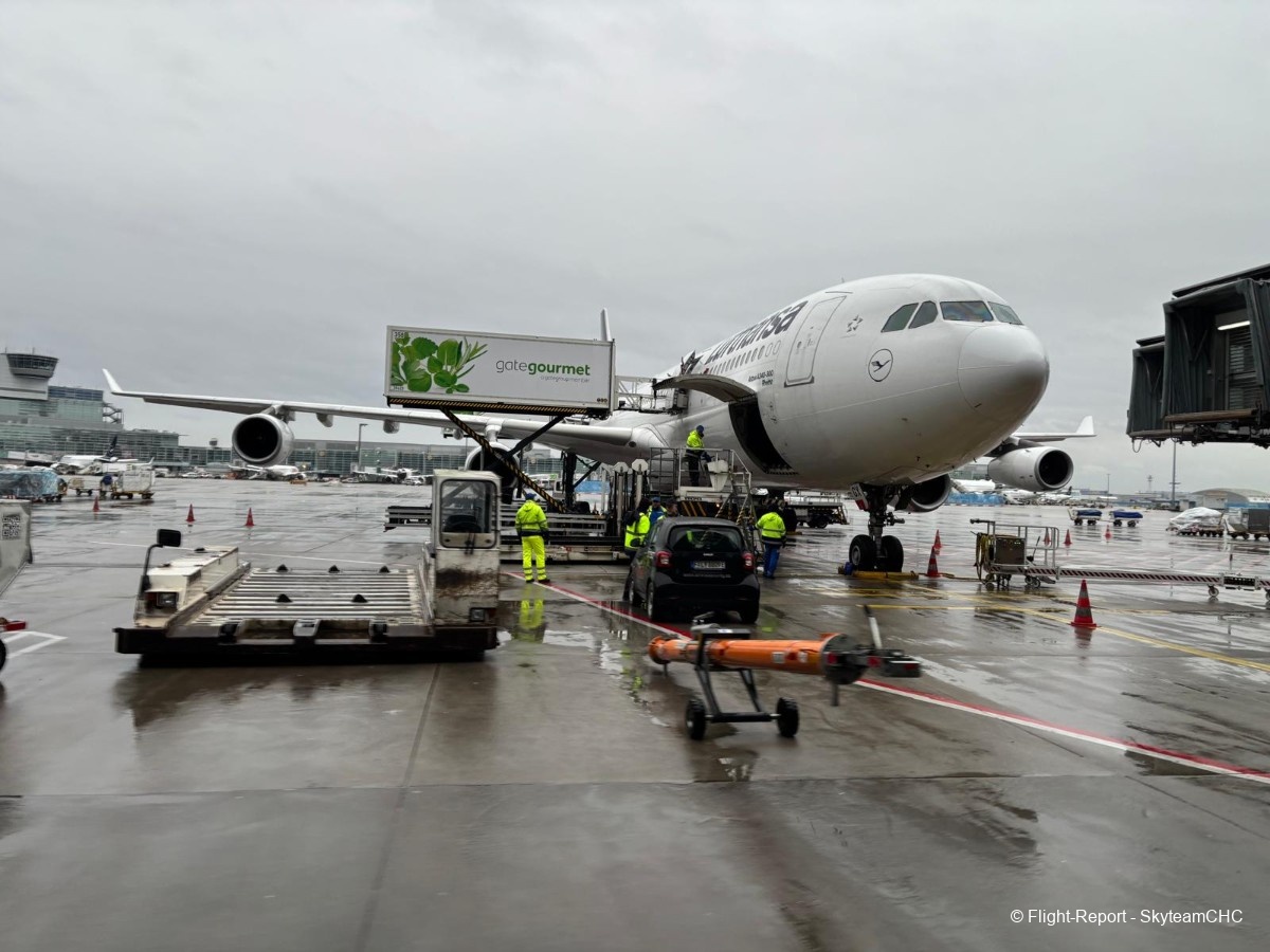 photo whatsapp-image-2026-02-11-at-221055-5