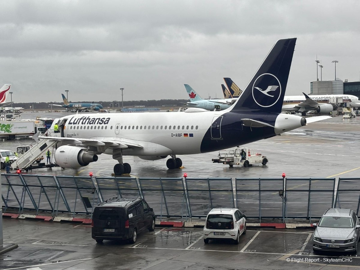 photo whatsapp-image-2026-02-12-at-091421-5