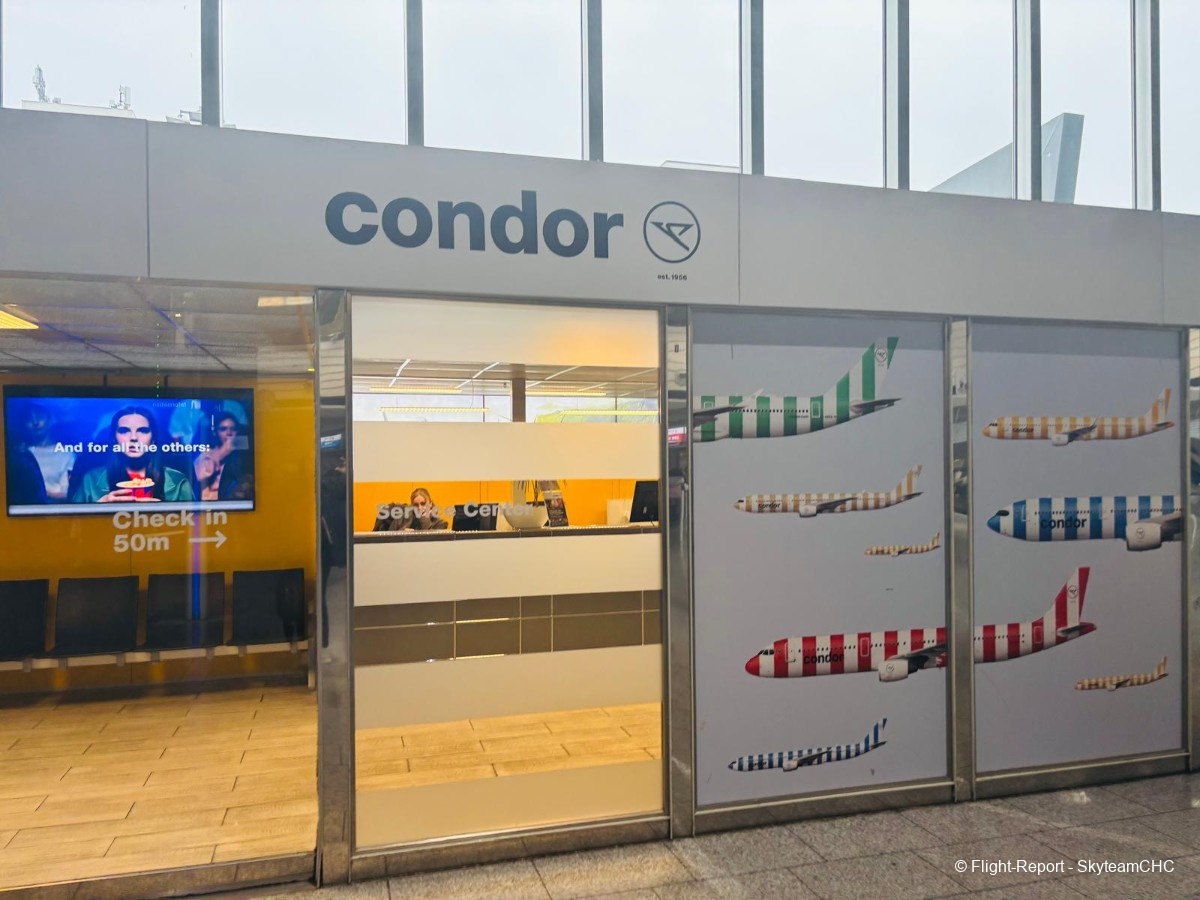 photo whatsapp-image-2026-02-12-at-091421-6