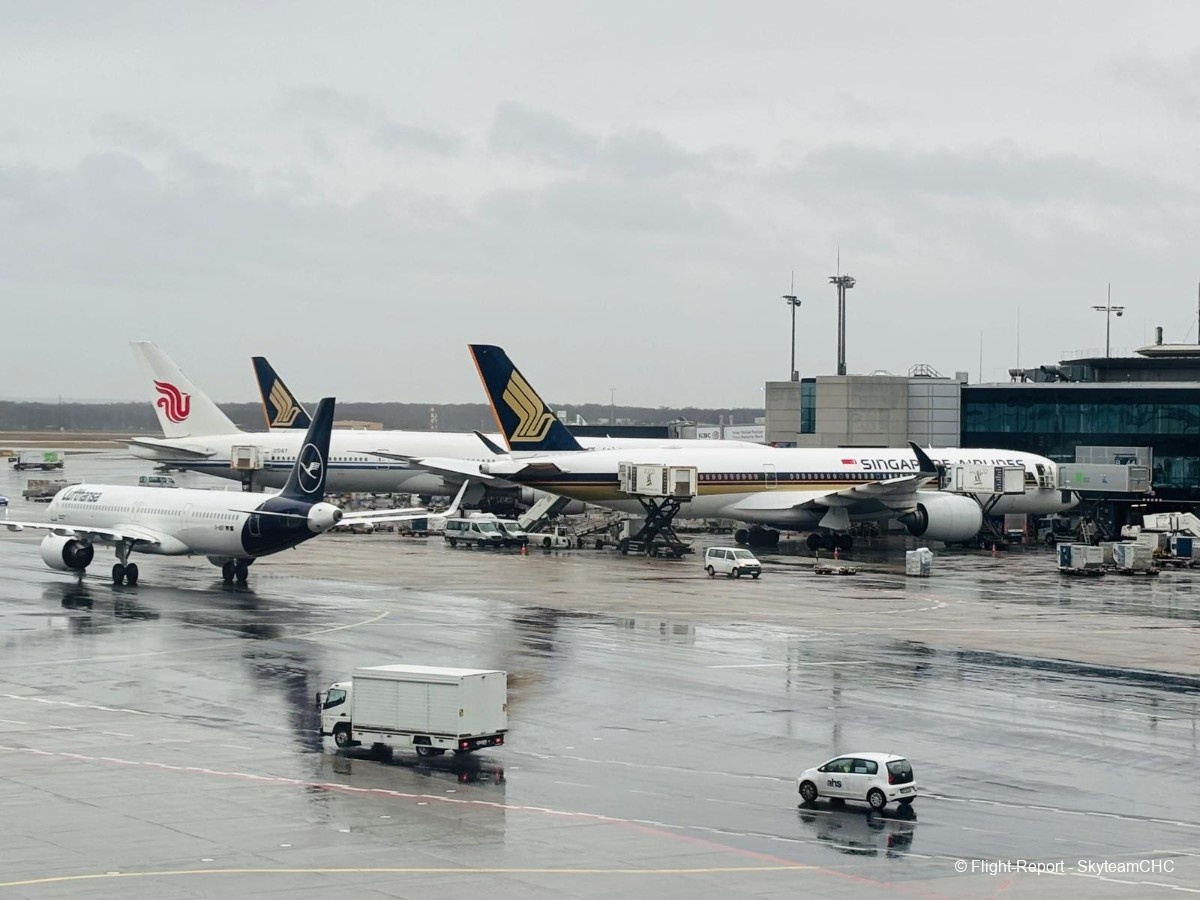 photo whatsapp-image-2026-02-12-at-091421-7