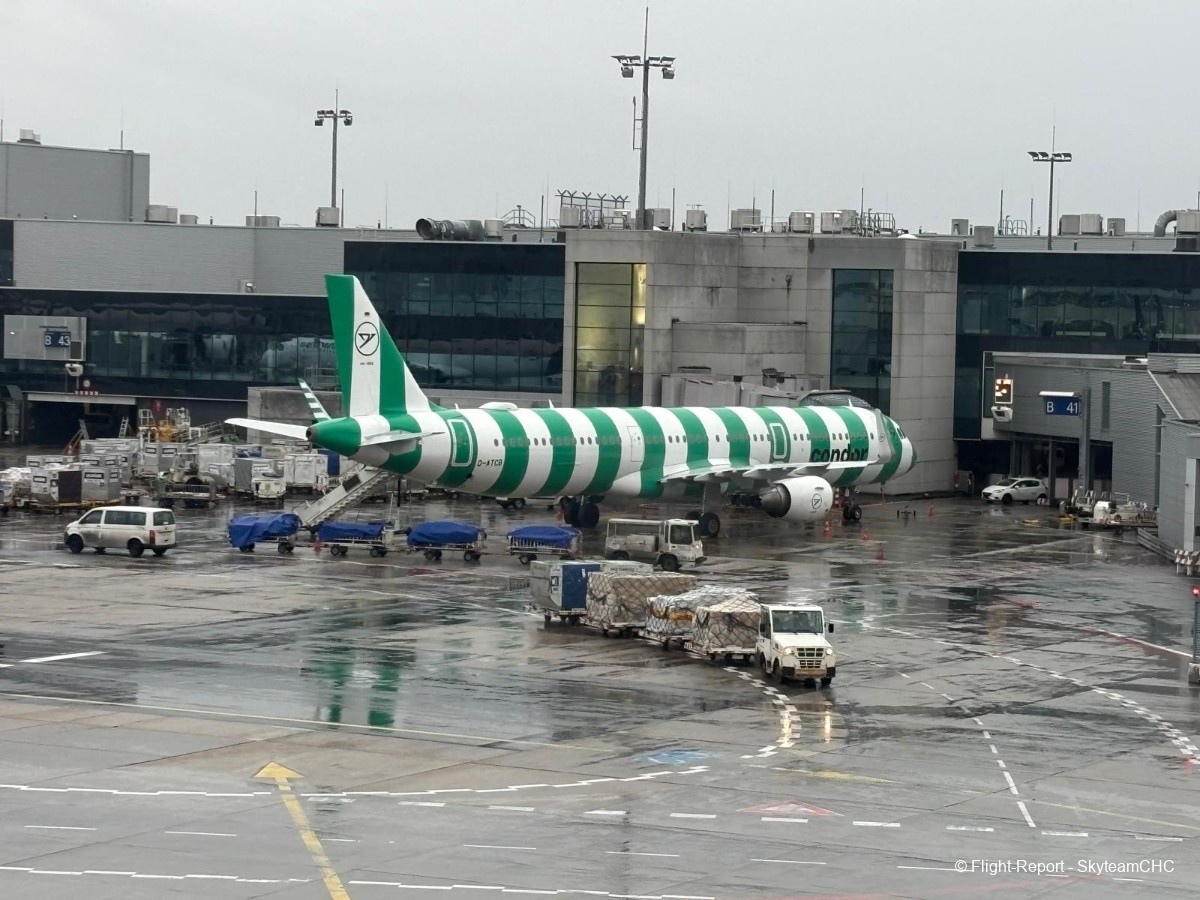 photo whatsapp-image-2026-02-12-at-091421-8