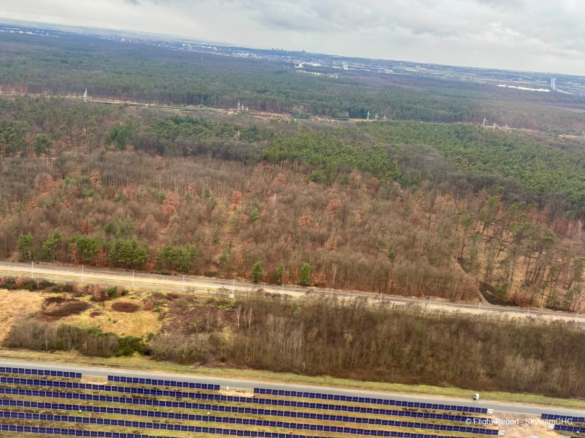 photo whatsapp-image-2026-02-12-at-091534-13