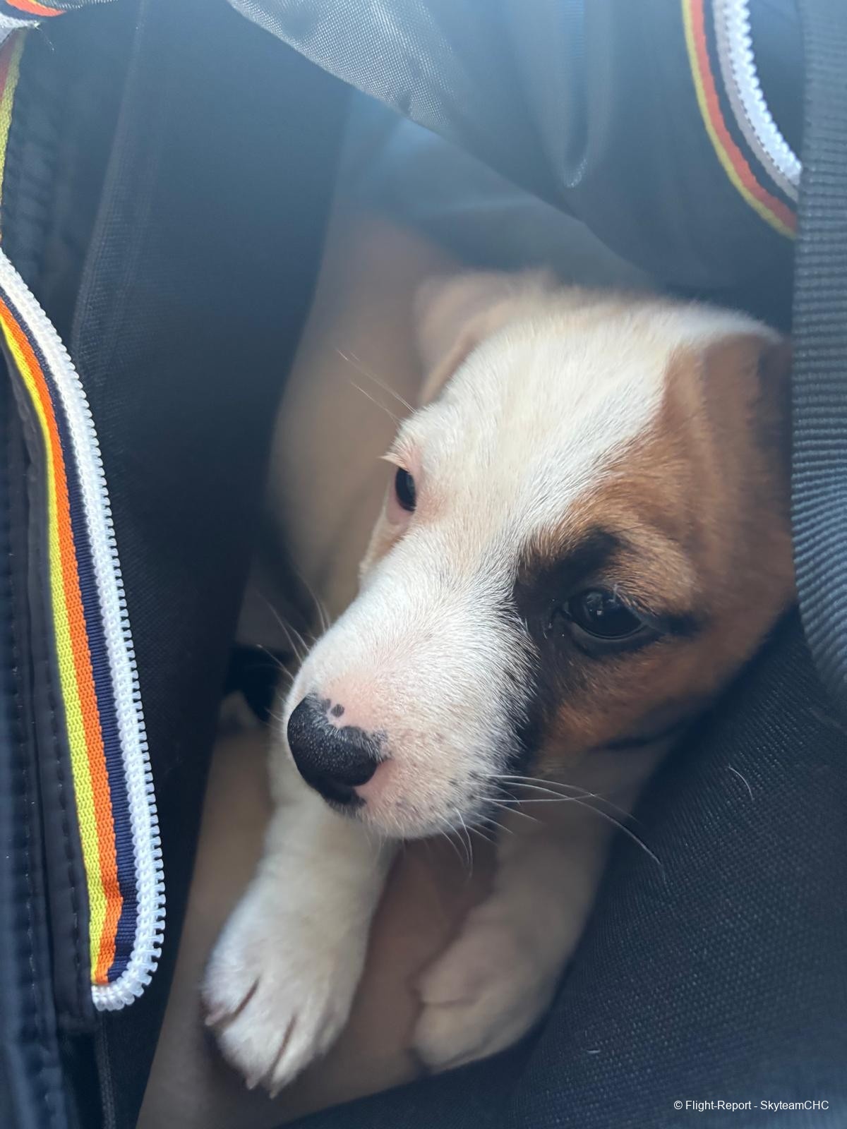 photo whatsapp-image-2026-04-22-at-112608-8